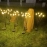 8/10LED Solar Light Outdoor Garden Decoration Landscape Lights Firework Firefly Lawn Lamps Country House Balcony Decor Lamp